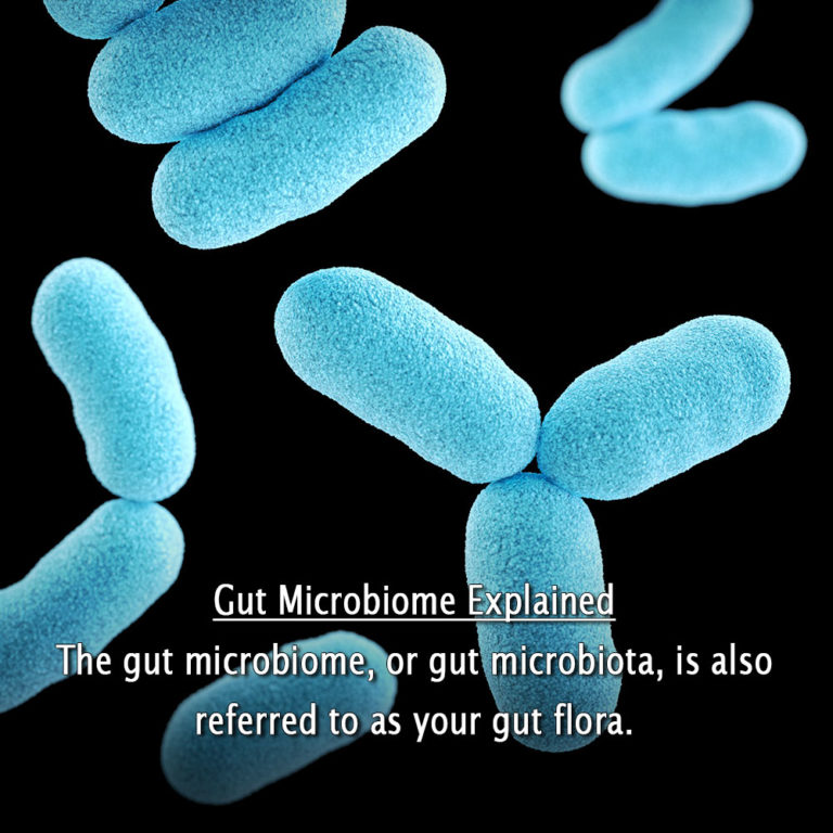 Close-Up of Gut Bacteria