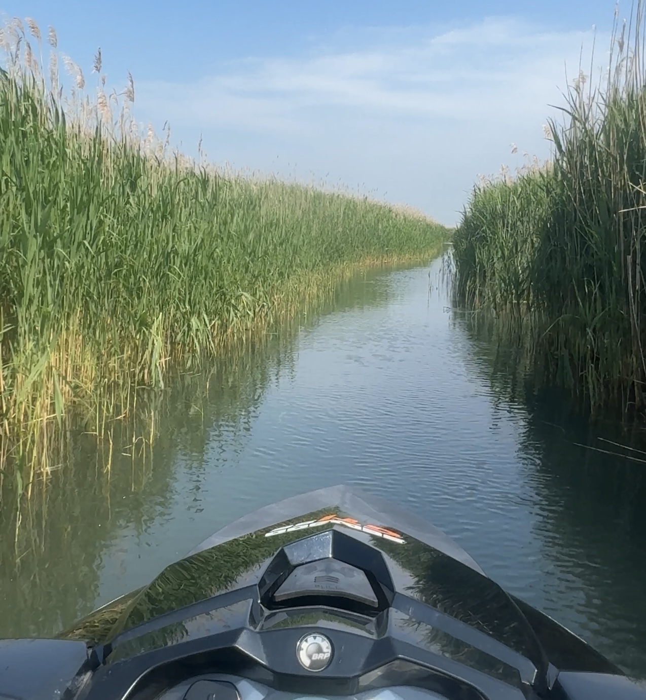 Jet skiing through the marshes in the St. Clair Flats