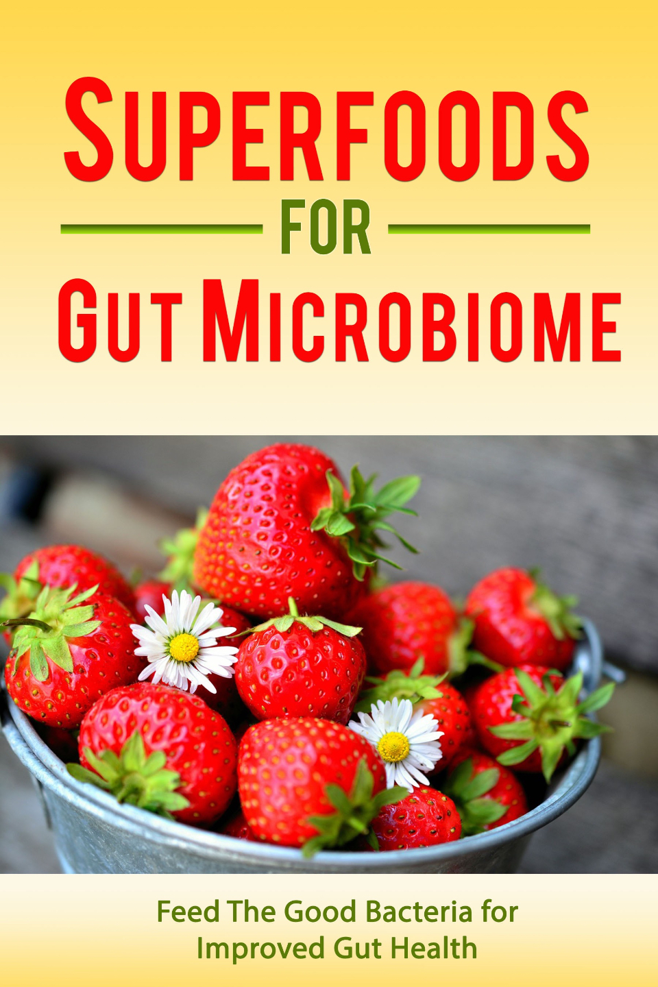 Superfoods for Gut Microbiome COver